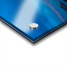 Pano 1 Acrylic print