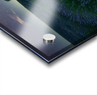 Beautiful Lavender fields in Brihuega at night Acrylic print