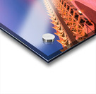 Valencia3 Acrylic print