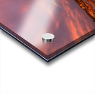 D850207 Acrylic print