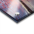 morning Acrylic print