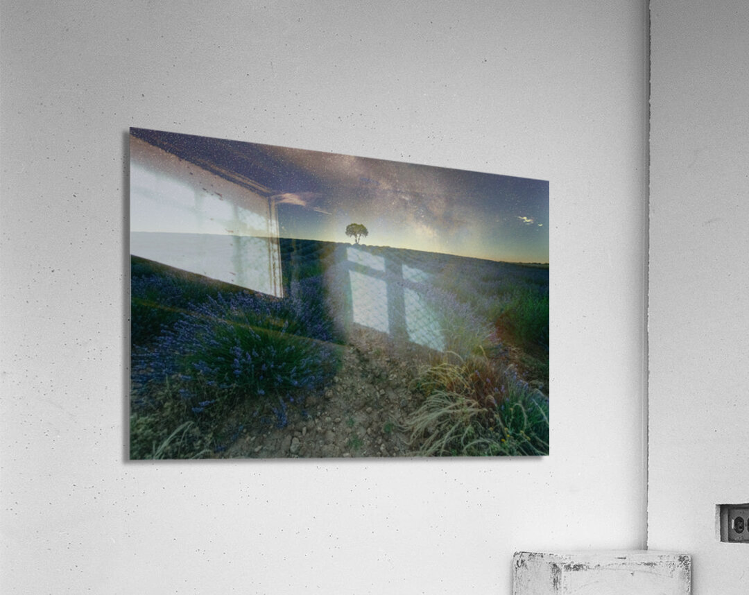 Beautiful Lavender fields in Brihuega at night Acrylic Print