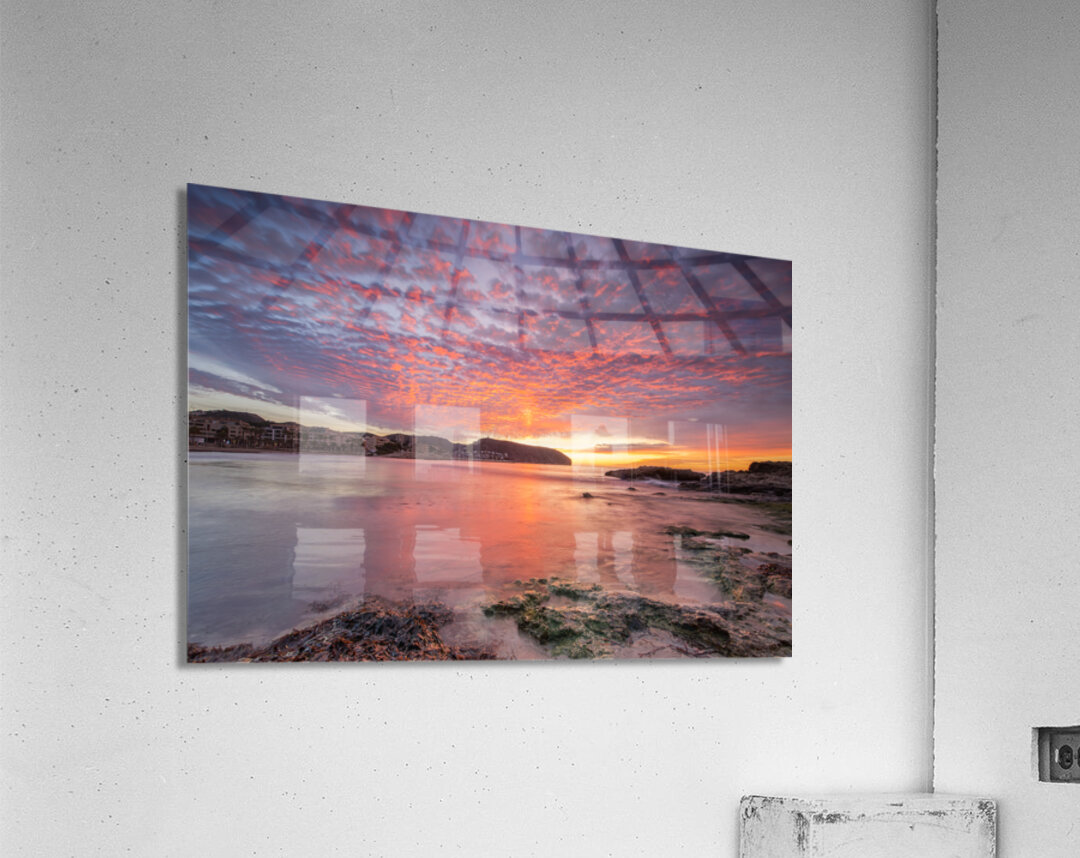 morning Acrylic Print