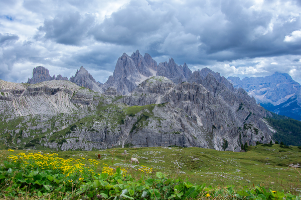  by Uchral Chuluunbat