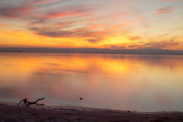   by Uchral Chuluunbat