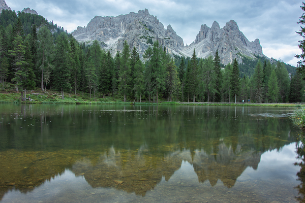   by Uchral Chuluunbat