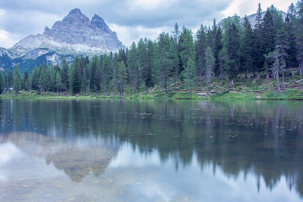  by Uchral Chuluunbat