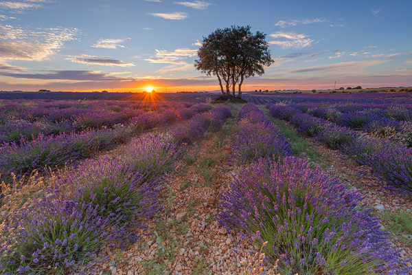  sunset  by Uchral Chuluunbat