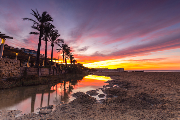 Paume by Uchral Chuluunbat