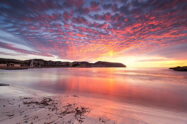 tusgal by Uchral Chuluunbat