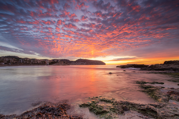 morning by Uchral Chuluunbat