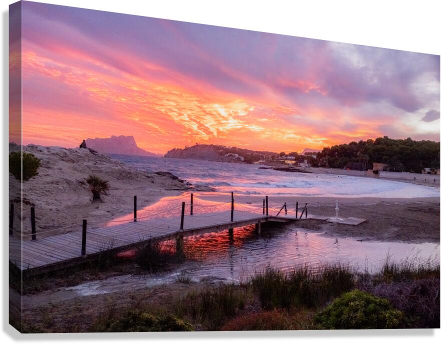 the bridge Canvas Print