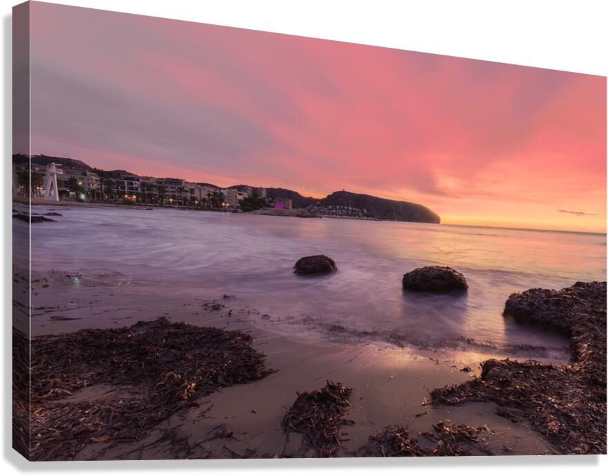 winter  Canvas Print