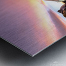 Valencia1 Metal print