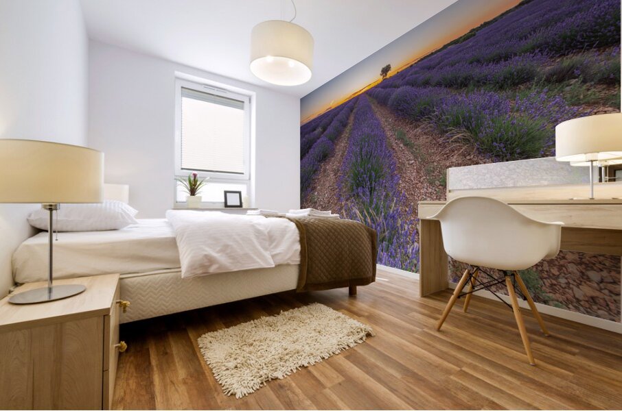 Lavender fields in Brihuega Mural print
