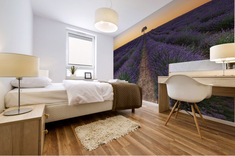 Brihuega Campos de Lavanda Mural print