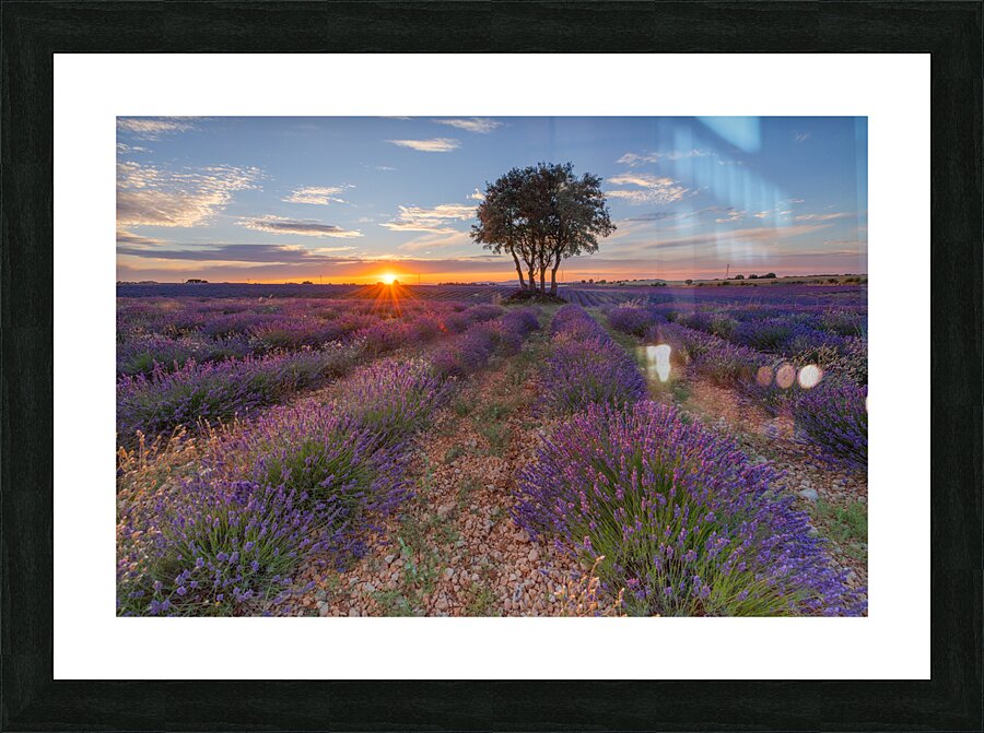  sunset  Picture Frame print