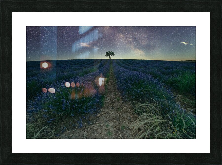 Beautiful Lavender fields in Brihuega at night Picture Frame print