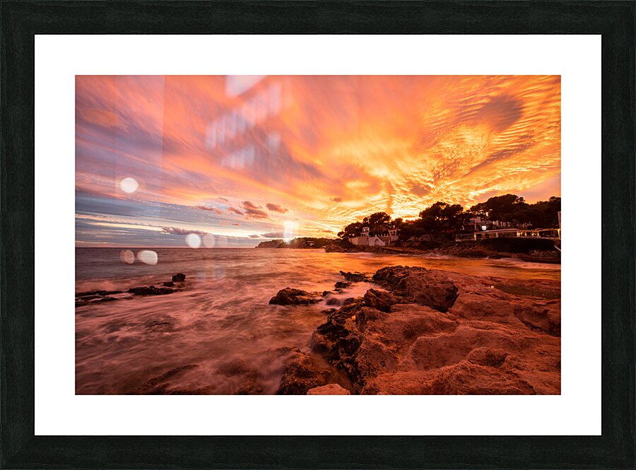 D850211 Picture Frame print