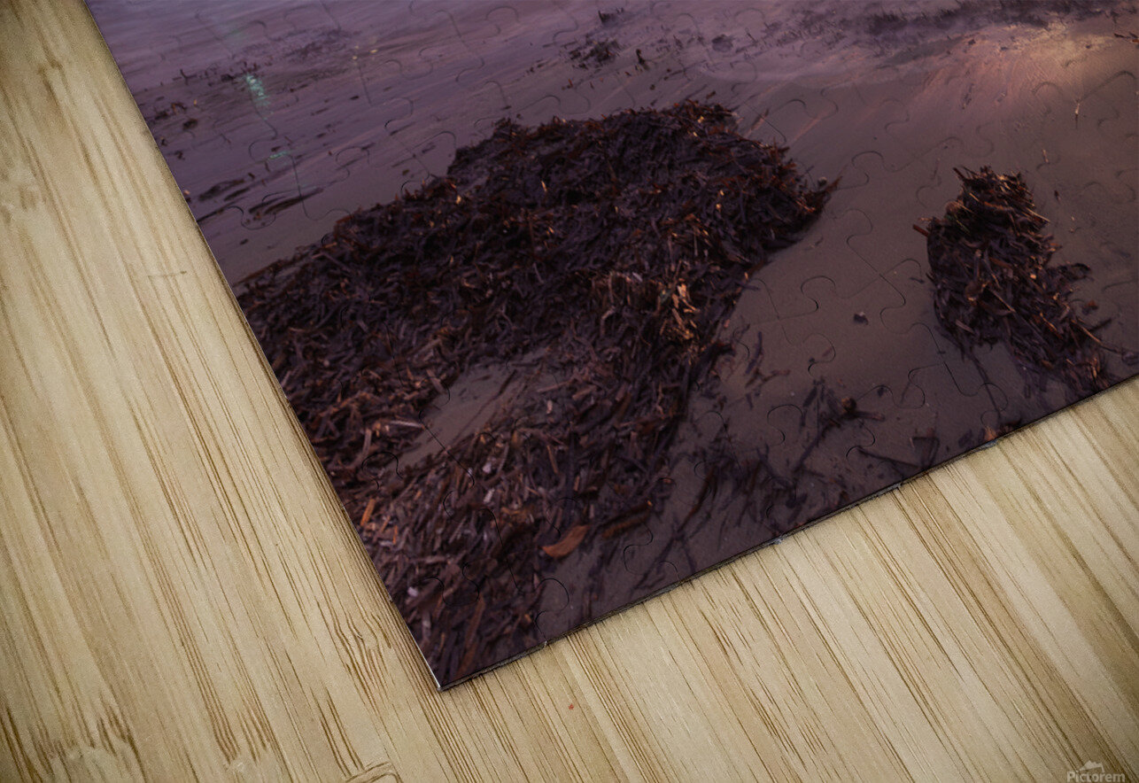 winter  Uchral Chuluunbat Puzzle