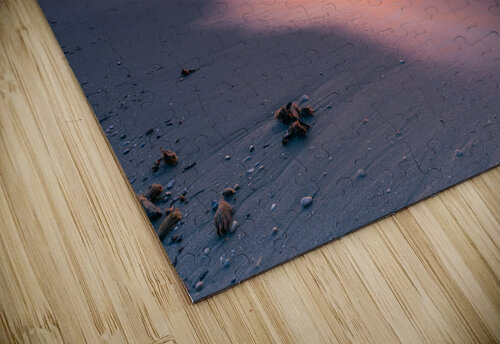 the castle Uchral Chuluunbat puzzle