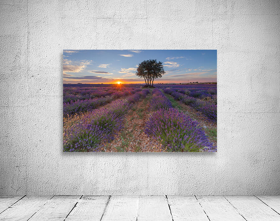  sunset  Wall Preview