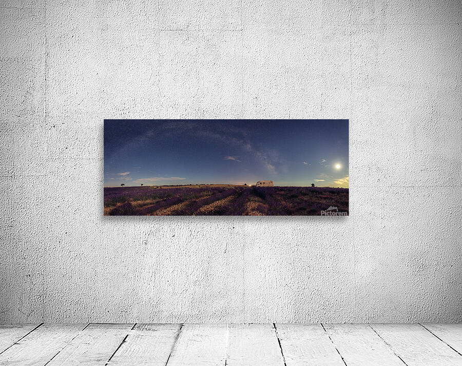 Pano 2  Wall Preview