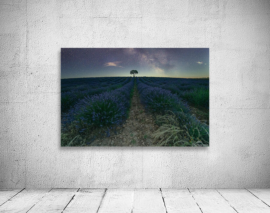 Beautiful Lavender fields in Brihuega at night Wall Preview