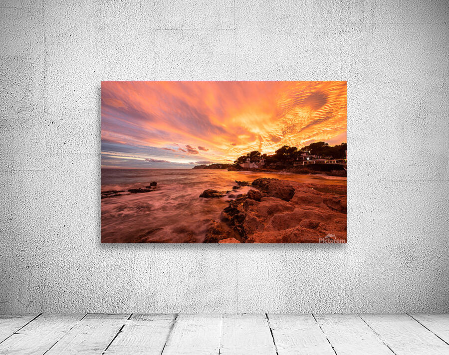 D850211 Wall Preview