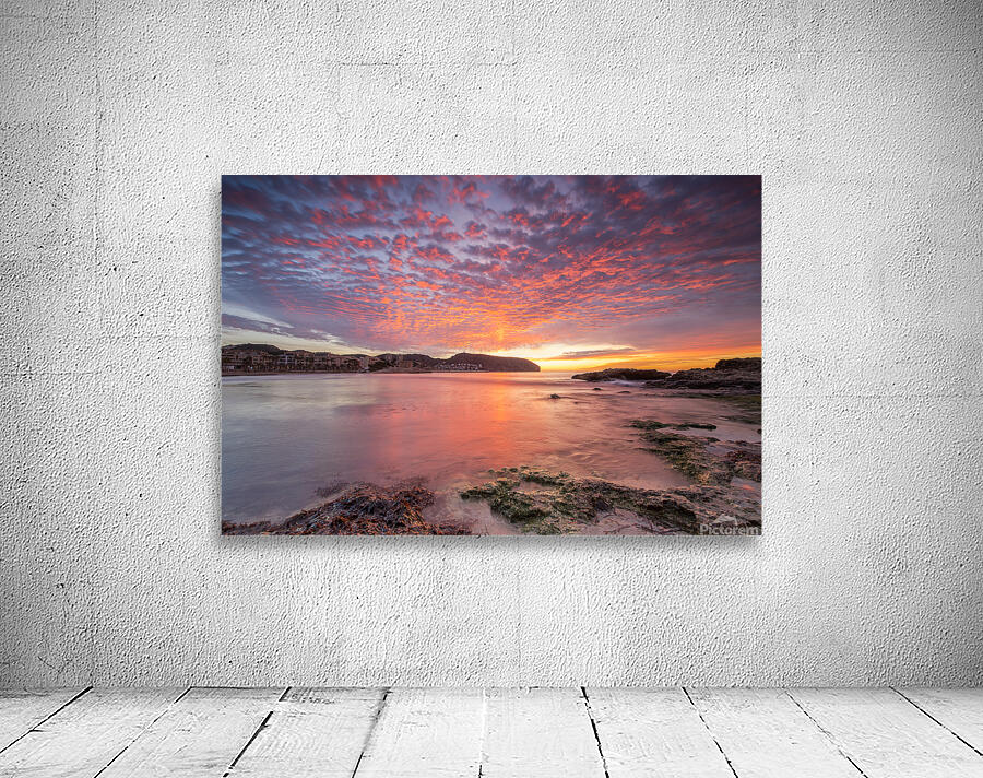 morning Wall Preview