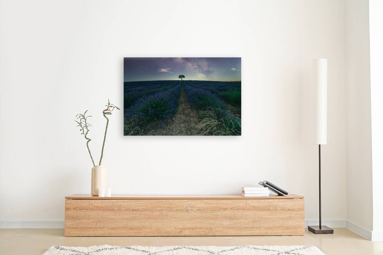 Beautiful Lavender fields in Brihuega at night Reproduction