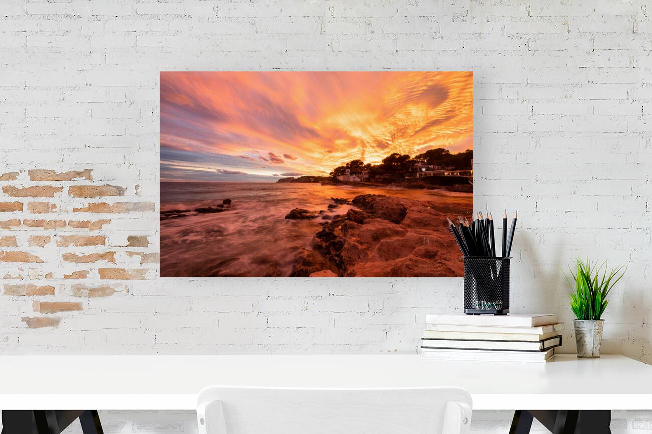 D850211 Reproduction