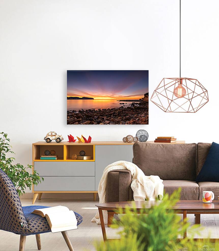 cap dor Reproduction