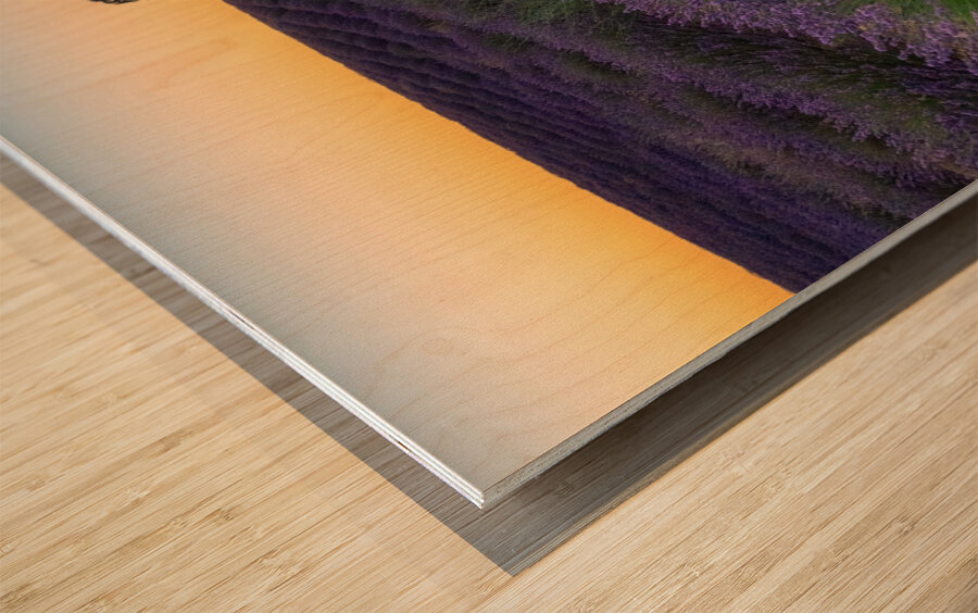 Brihuega Campos de Lavanda Wood print