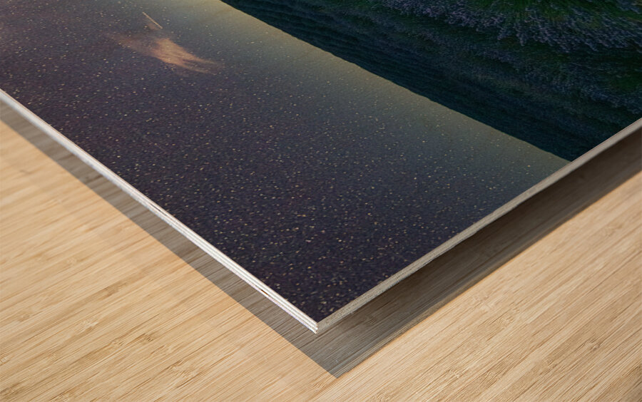 Beautiful Lavender fields in Brihuega at night Wood print