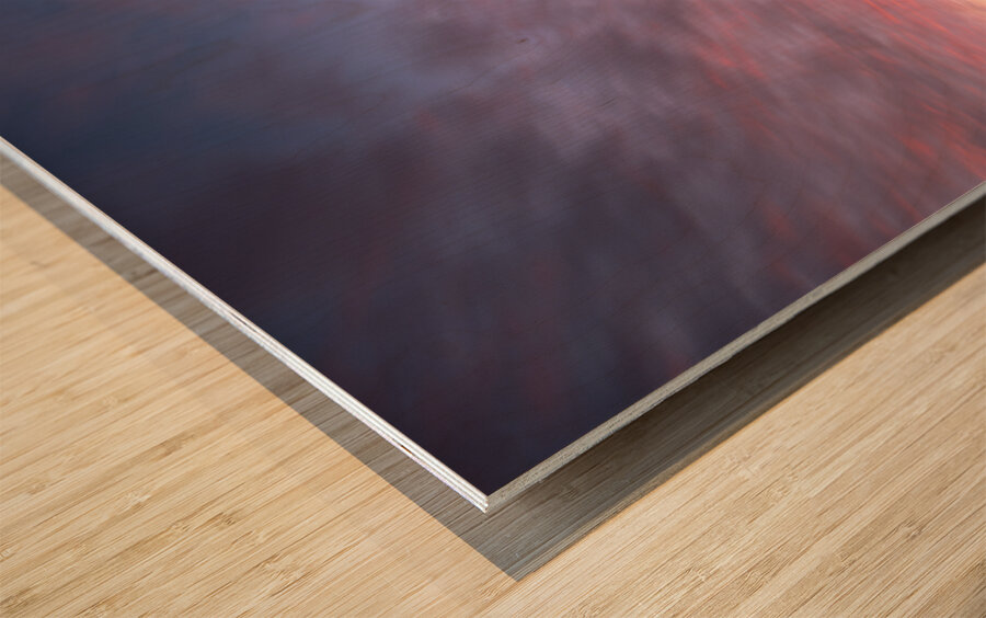 the Skyline  Wood print